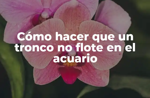 Cómo Hacer que un Tronco No Flote en el Acuario