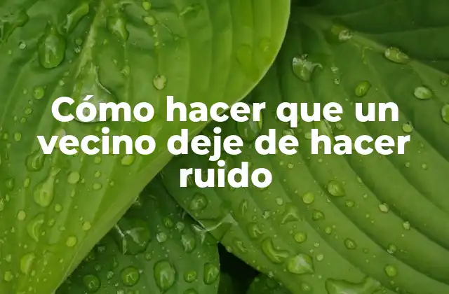 Cómo Hacer que un Vecino Deje de Hacer Ruido