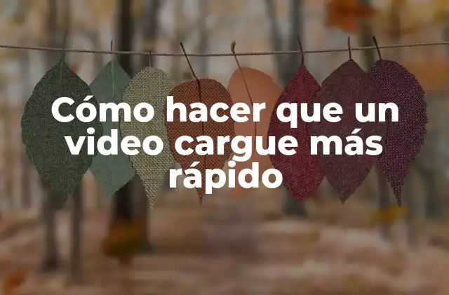 Cómo Hacer que un Video Cargue Más Rápido