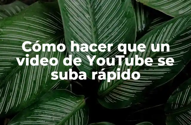 Cómo Hacer que un Video de Youtube Se Suba Rápido