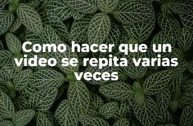 Como Hacer que un Video Se Repita Varias Veces 2 Repetir un video varias veces: ¿para qué sirve y cómo se utiliza?