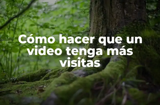 Cómo Hacer que un Video Tenga Más Visitas