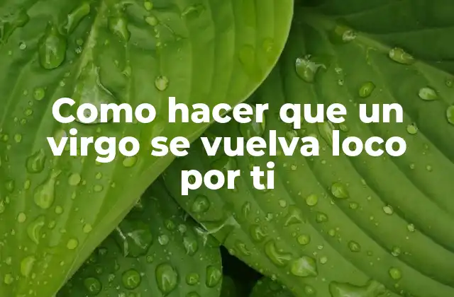 Como Hacer que un Virgo Se Vuelva Loco por Ti