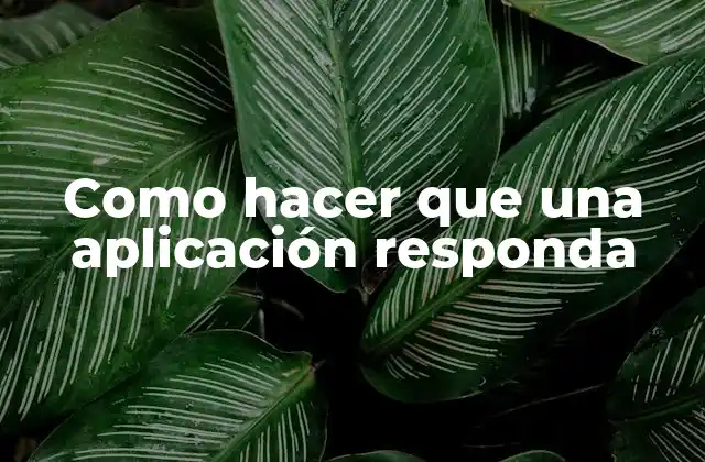 Como Hacer que una Aplicación Responda