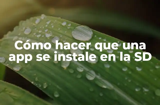 Cómo Hacer que una App Se Instale en la Sd