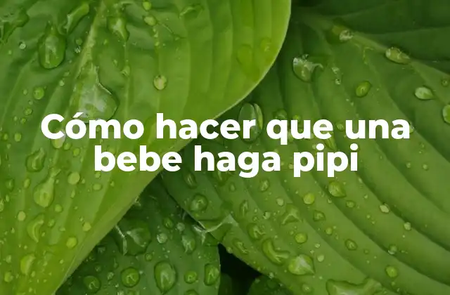 Cómo hacer que una bebe haga pipi