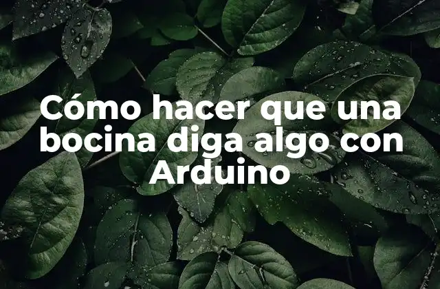 Cómo Hacer que una Bocina Diga Algo con Arduino