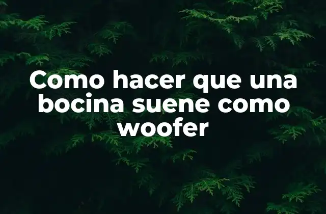 Como Hacer que una Bocina Suene como Woofer