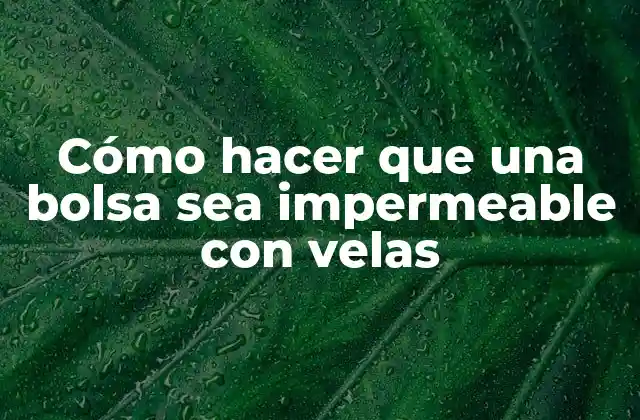 Cómo Hacer que una Bolsa Sea Impermeable con Velas