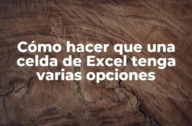 Cómo crear una celda de Excel con varias opciones