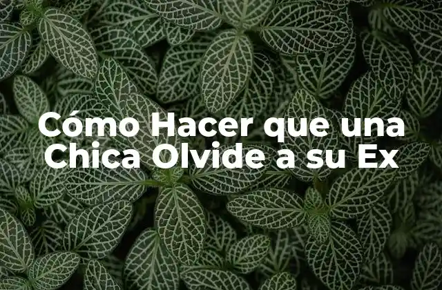 Cómo Hacer que una Chica Olvide a Su Ex