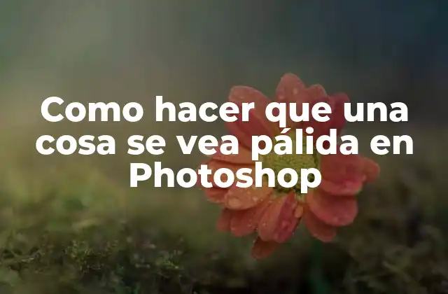 Como Hacer que una Cosa Se Vea Pálida en Photoshop
