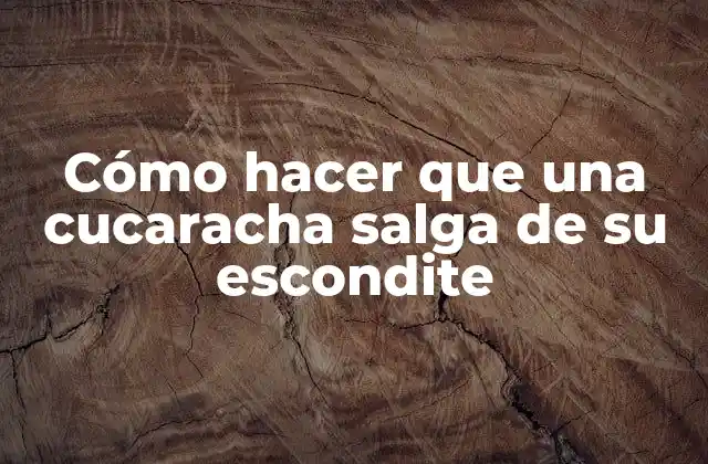 Cómo Hacer que una Cucaracha Salga de Su Escondite