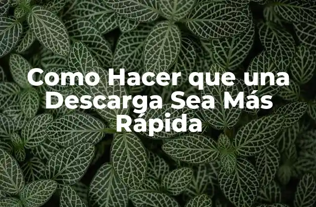 Como Hacer que una Descarga Sea Más Rápida