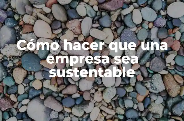 Cómo Hacer que una Empresa Sea Sustentable 2 ¿Qué es la sostenibilidad empresarial?