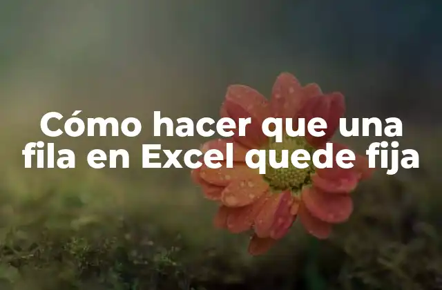 Cómo Hacer que una Fila en Excel Quede Fija