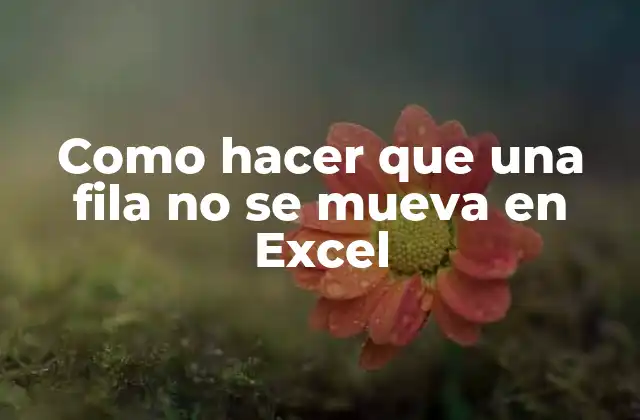 Como Hacer que una Fila No Se Mueva en Excel