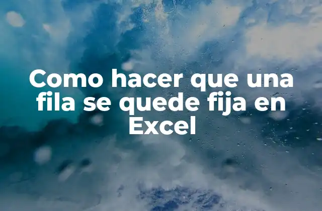 Como Hacer que una Fila Se Quede Fija en Excel