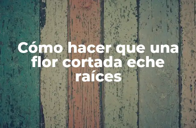 Cómo Hacer que una Flor Cortada Eche Raíces