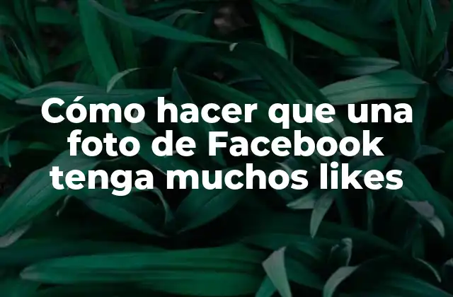 Cómo Hacer que una Foto de Facebook Tenga Muchos Likes