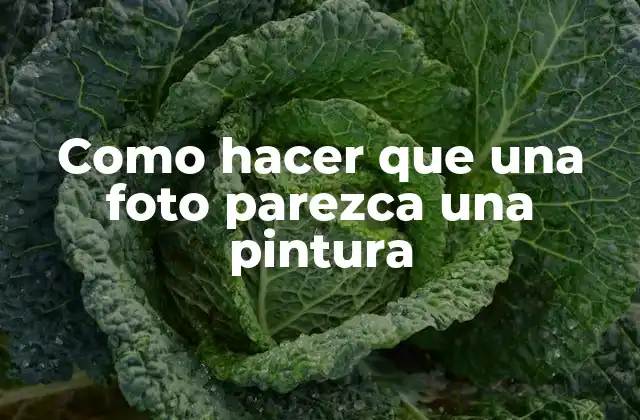 Como Hacer que una Foto Parezca una Pintura