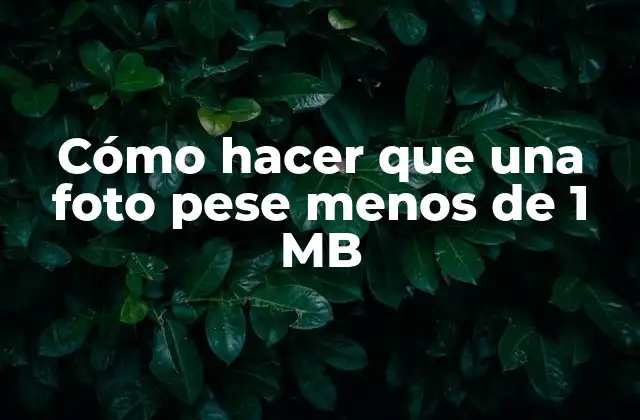 Cómo Hacer que una Foto Pese Menos de 1 Mb