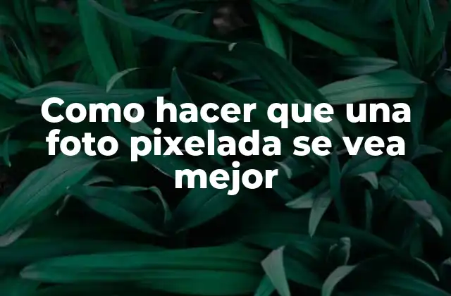 Como Hacer que una Foto Pixelada Se Vea Mejor