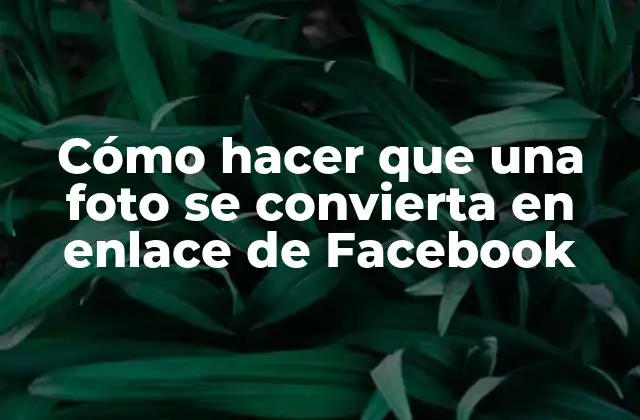 Cómo Hacer que una Foto Se Convierta en Enlace de Facebook