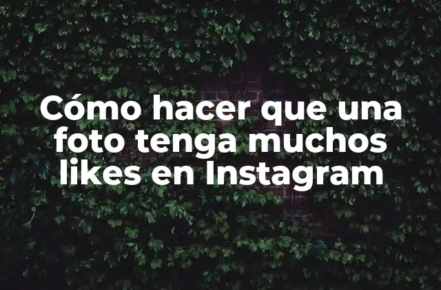Cómo Hacer que una Foto Tenga Muchos Likes en Instagram