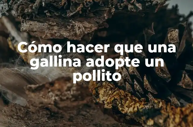 Cómo Hacer que una Gallina Adopte un Pollito