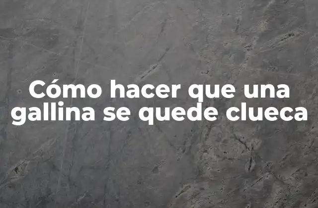 Cómo Hacer que una Gallina Se Quede Clueca