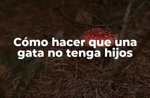 Cómo Hacer que una Gata No Tenga Hijos