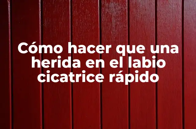 Cómo Hacer que una Herida en el Labio Cicatrice Rápido