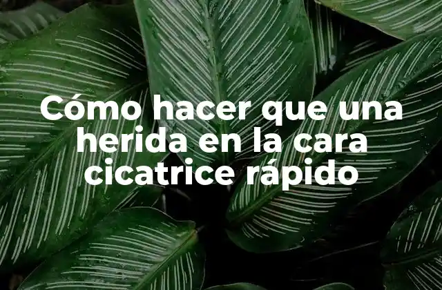 Cómo Hacer que una Herida en la Cara Cicatrice Rápido
