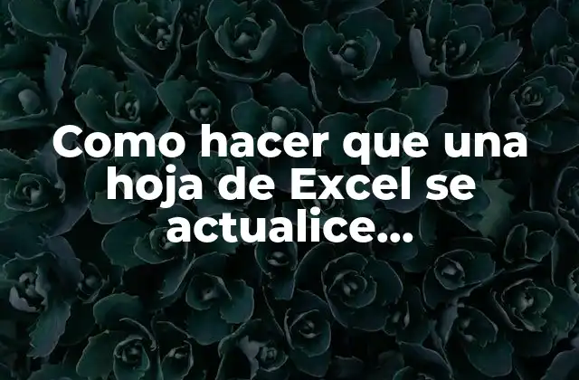 Qué es la actualización automática de una hoja de Excel