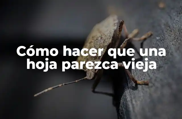 Cómo Hacer que una Hoja Parezca Vieja