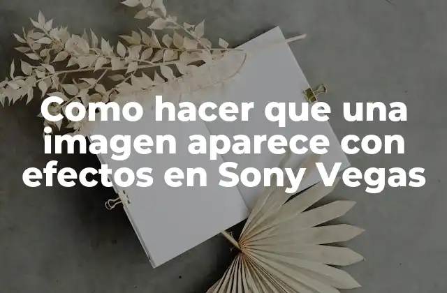 Como Hacer que una Imagen Aparece con Efectos en Sony Vegas