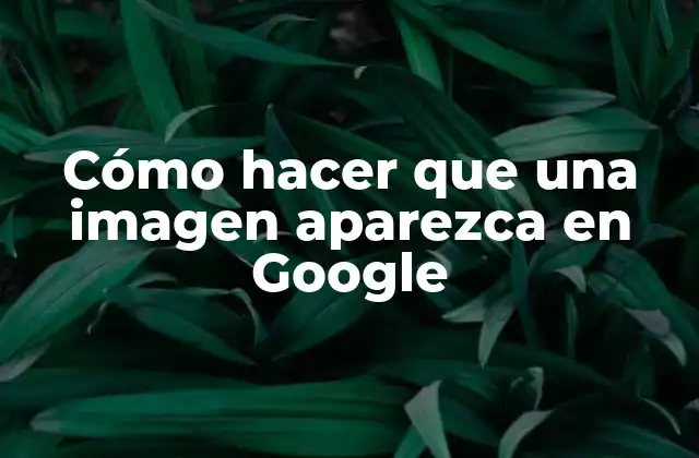 Cómo hacer que una imagen aparezca en Google