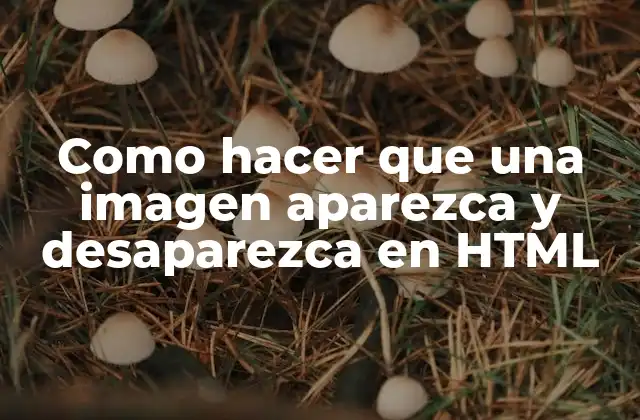 Como Hacer que una Imagen Aparezca y Desaparezca en Html