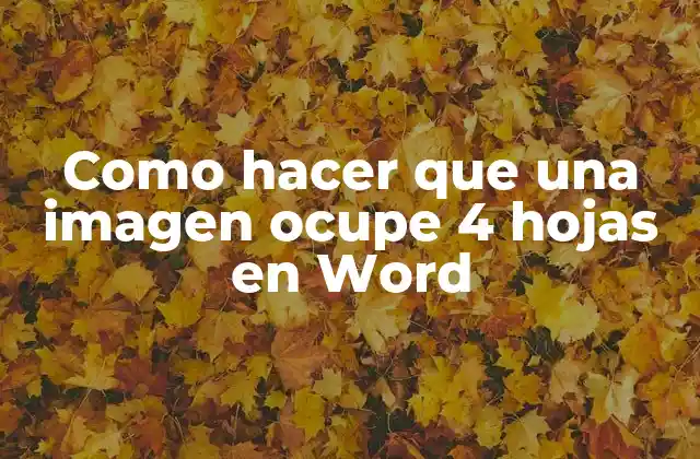 Como Hacer que una Imagen Ocupe 4 Hojas en Word