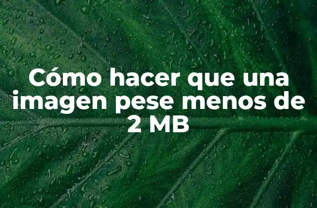 Cómo Hacer que una Imagen Pese Menos de 2 Mb