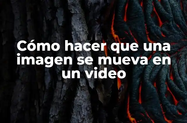 Cómo Hacer que una Imagen Se Mueva en un Video