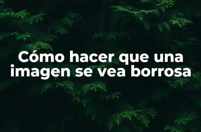 Cómo Hacer que una Imagen Se Vea Borrosa