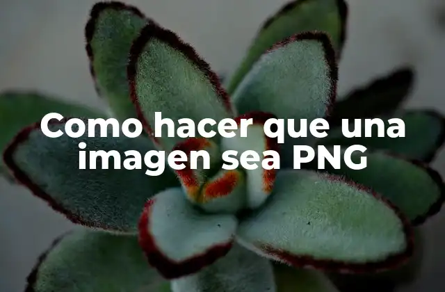 Como Hacer que una Imagen Sea Png