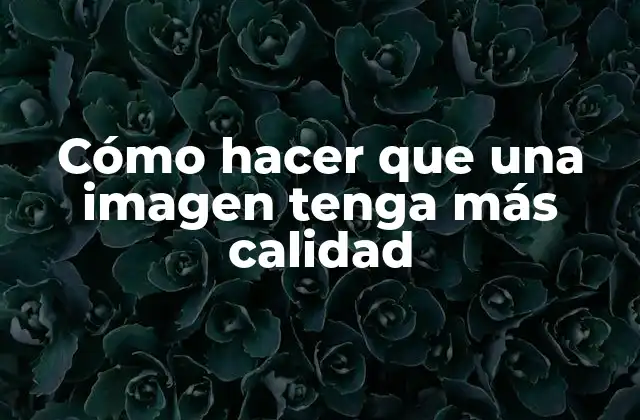 Cómo Hacer que una Imagen Tenga Más Calidad