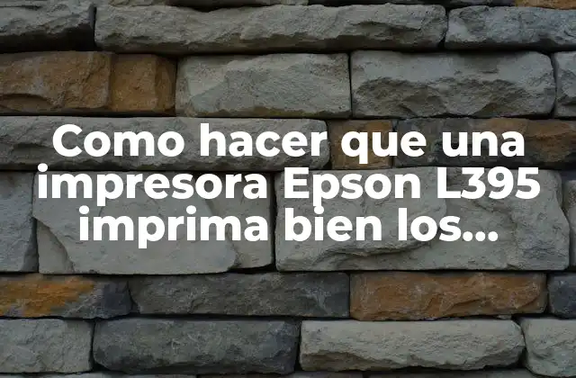 Como Hacer que una Impresora Epson L395 Imprima Bien los Márgenes