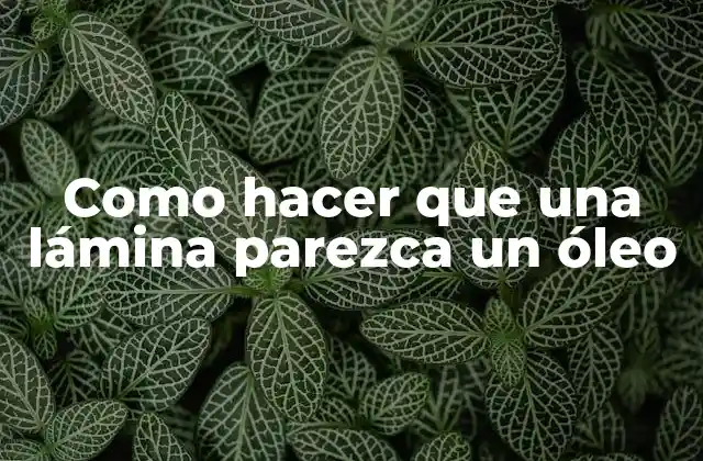 Como Hacer que una Lámina Parezca un Óleo