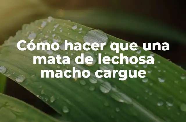 Cómo Hacer que una Mata de Lechosa Macho Cargue