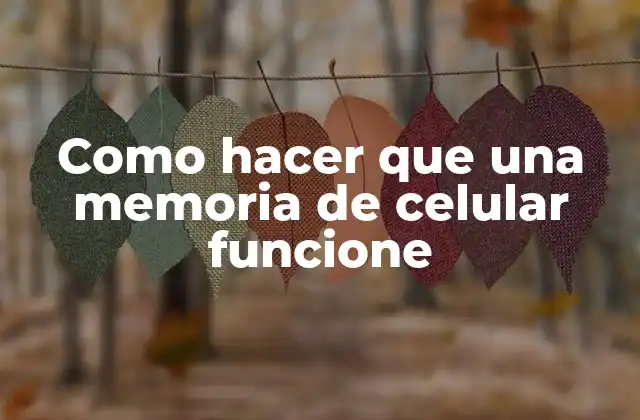 Como Hacer que una Memoria de Celular Funcione