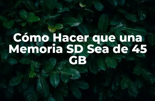 Cómo Hacer que una Memoria Sd Sea de 45 Gb